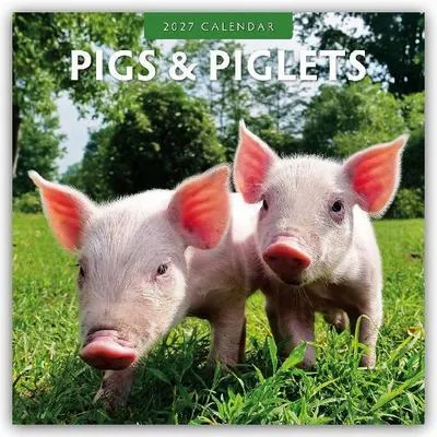 Image de Cochons et Porcelets - Calendrier de 16 mois (de 2027 à 2028)