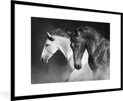 Produktbild von MuchoWow® Gerahmtes Poster Pferde - Tiere - Schwarz - Weiß - Porträt 90x60 cm - Poster mit Schwarzem Bilderrahmen Wandposter Rahmen Foto Bilder - Wanddekoration - Fotos