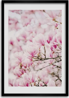 Produktbild von Bild - Bilderrahmen - Foto - 70 cm x 100 cm - MDF - Rahmen - Wandkunst - Magnolie Blumen