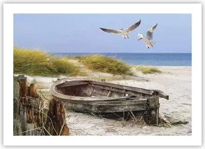 Produktbild von Poster - Poster ohne Rahmen - Strand Möwen £ódŸ - 70x50 cm - Wand Bild - Wanddeko - Wandbilder - Kunstposter - Wandposter - Bilder - Kunstdruck - Wanddekoration - Wandbild - P2XAA70x50-4170