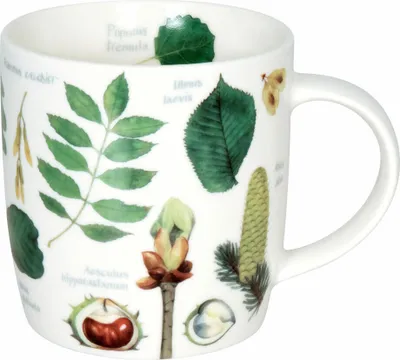Image de Könitz Mug Natures Diversity - Trees, Tasse, Mug à café, New Bone China, Coloré, 350 ml, 11 7 275 2679