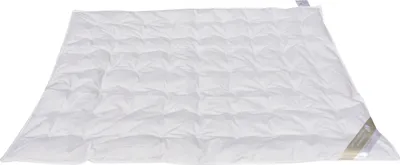 Produktbild von Betten Hofmann Kinder Sommer Daunenbett Daunendecke 100x135 cm 100% Daunen