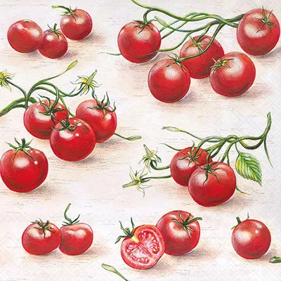 Immagine prodotto di Tovaglioli di carta 33x33 cm, 3 veli, motivo pomodori in stile acquerello, 20 pezzi.