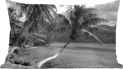 Produktbild von MuchoWow® Zierkissen Sofakissen Wohnzimmer Dekokissen 50x30 cm Palmen am Strand von Mo'orea in Schwarz und Weiß - Wohnzimmerdekoration - Polster mit Photo