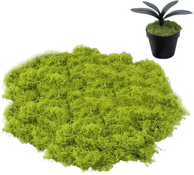 Obrázok produktu pre Umelé machové dekorácie, zelené, 100 g