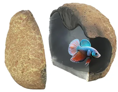 Productafbeelding van Magnetisch Aquariumversteck voor Kampffisj en Garnalen