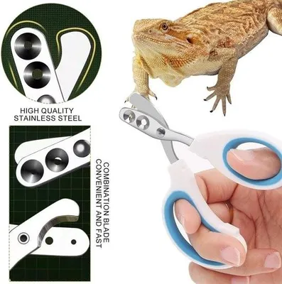 Productafbeelding van Nagelknipper voor katten – Veilig en praktisch – 1 stuk