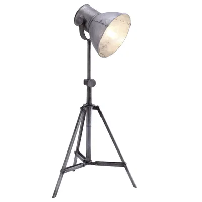 Image de Lampadaire sur pied, en fer, hauteur réglable, spot orientable