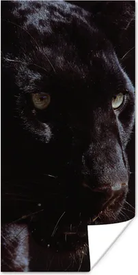 Produktbild von MuchoWow® Poster Panther - Tier - Schwarz 60x120 cm - Wandschmuck