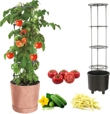 Immagine prodotto di Vaso per ortaggi pomodori di vite cetrioli fagioli Ø40 cm Terracotta