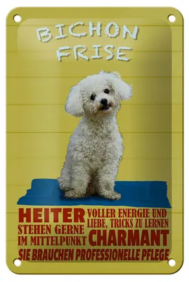 Produktbild von Blechschild Spruch 12x18cm Hund Bichon Frise charmant