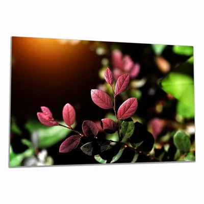 Produktbild von Wallario Herdabdeckplatte aus Glas, Größe 80 x 52 cm 1-teilig, Motiv Rote und grüne Blätter an einem Zweig