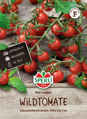 Produktbild von SPERLI Wildtomatensamen Red Currant Solanum pimpinellifolium 8 Pflanzen