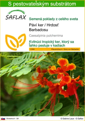 Obrázok produktu pre SAFLAX - Páví ker / Hrdosť Barbadosu - Caesalpinia pulcherrima - 10 Semená - S pestovateľským substrátom bez klíčkov