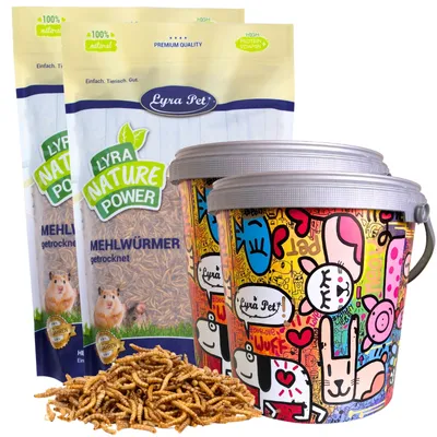 Produktbild von 2 x 10 Liter Lyra Pet® Mehlwürmer im Design Eimer