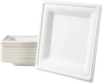 Produktbild von Love Nature Ökologisch Einweg Teller Set 20 cm 50 Stück - Einweggeschirr aus Zuckerrohrmark - Einmalteller Biologisch Abbaubar - Teller Eckig