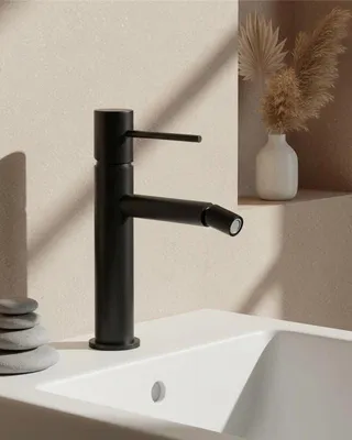 Immagine prodotto di Rubinetto bidet monocomando nero opaco Hidden