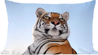 Produktbild von MuchoWow® Zierkissen Sofakissen Wohnzimmer Dekokissen 50x30 cm Tiger - Himmel - Kopf - Wohnzimmerdekoration - Polster mit Photo