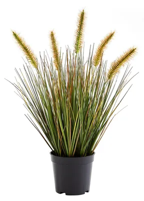 Produktbild von aplanta Künstliches Japanisches Lampenputzergras – Yuki | 45 cm, für drinnen, Kunstpflanze, wie echt, Allergiker geeignet, pflanzliche Dekoration Praxis, Office & Wohnzimmer