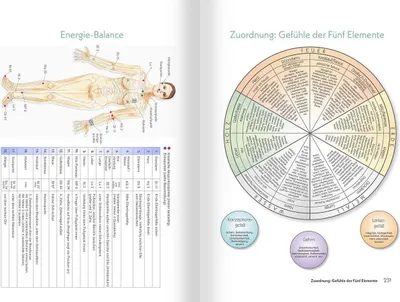 Obrázek produktu pro Medizin zum Aufmalen: Heilen mit Zeichen und Symbolen. Das Basisbuch Neue Homöopathie