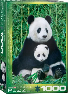 Produktbild von 1000 Teile Puzzle - Puzzle - Panda Bär & Baby + Puzzle Zubehör