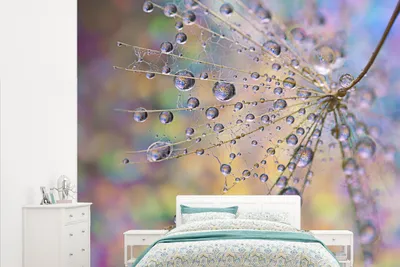 Produktbild von MuchoWow® Fototapete für Wohnzimmer oder Schlafzimmer Wandtapete Vinyl Motivtapete Wassertropfen auf einer Pusteblume - 315x260 cm - Gemustert