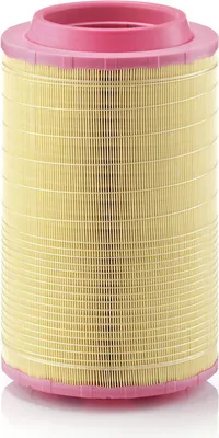 Immagine prodotto di Filtro aria MANN-FILTER C 25 860/6