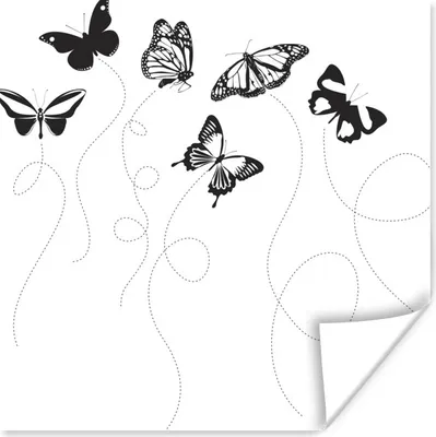 Produktbild von MuchoWow® Poster Eine schwarz-weiße Illustration von Schmetterlingen 50x50 cm - Wohnzimmerdekoration