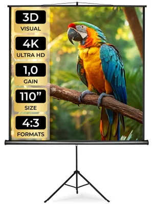 Produktbild von tectake® Beamer-Leinwand ausziehbar Doppelschicht-Gewebetuch, faltenfrei