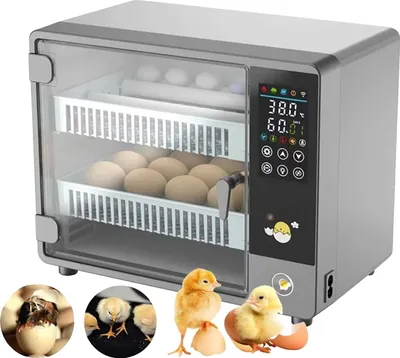 Immagine prodotto di Incubatrice automatica, controllo touchscreen, 24 uova