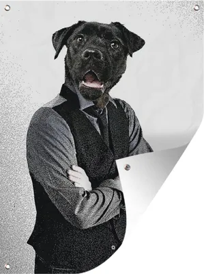 Produktbild von MuchoWow® 60x80 cm Outdoor-Poster Gartendeko Sichtschutz Garten Poster für den Garten  Porträt - Mensch - Hund