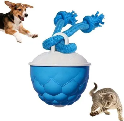 Produktbild von Interaktives Hundespielzeug - Aanrührendes, piependes Spielzeug für Hunde - Automatisch rollend - Blau - 1 Stück