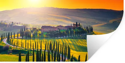 Produktbild von MuchoWow® Wandtattoo Wandsticker Wandaufkleber Gras - Sonne - Hügel - Landschaft 120x60 cm Selbstklebend und Repositionierbar - Sticker - Dekorfolie