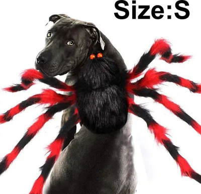 Produktbild von Haustierkostüm Spinne Halloween Haustier Cosplay Hunde Katzen Kostüme Bekleidung für mittelgroße und kleine Hunde Katzen Outfit Verkleidungsaccessoires