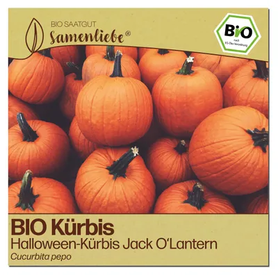 Produktbild von Samenliebe  Kürbis Samen | Jack O'Lantern - groß - samenfestes  Saatgut