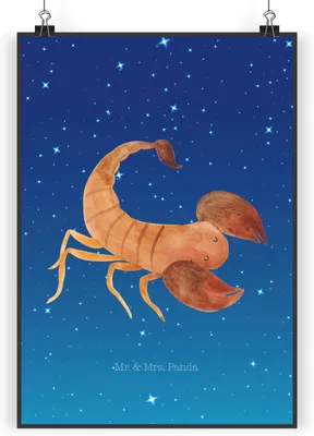 Produktbild von Mr. & Mrs. Panda Bild Sternzeichen Skorpion Classic DIN A4 - Sternenhimmel Blau - Geschenk, wanddeko, Skorpione, Geburtstag November, Oktober, Wanddekoration, Kunstdruck