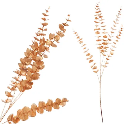 Imagen del producto de Ramo decorativo de eucalipto dorado