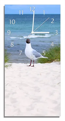 Produktbild von Wallario Design Wanduhr bedruckt, Größe 30 x 60 cm, Motiv: Möwe auf der Düne