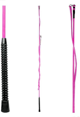 Immagine prodotto di Waldhausen affondo 1 parte frusta rosa 200 cm rosa 200 cm