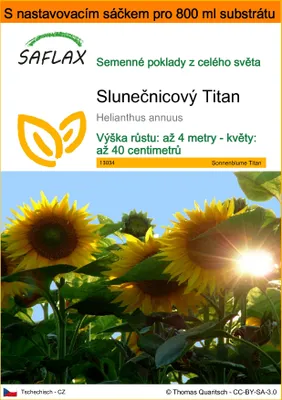 Obrázek produktu pro SAFLAX Garden in the bag - Slunečnicový Titan - Helianthus annuus - 20 Semena - S pěstebním substrátem v praktickém samovztyčovacím sáčku
