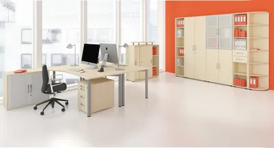Produktbild von Geramöbel Einlegeboden mit Bodenträger, 400x370x19, Ahorn, N-341702-A