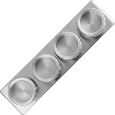 Produktbild von FACKELMANN 4er Set Magnetwurzeln und -stäbe - Edelstahl/Glas 42122