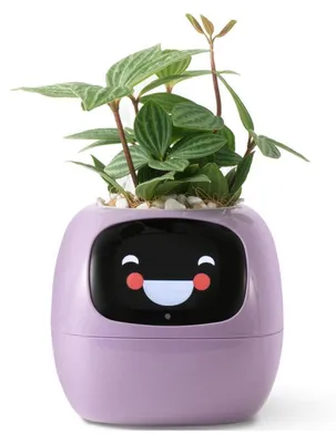 Immagine prodotto di Vaso da fiori intelligente con controllo tramite app e sistema di irrigazione automatico, colore viola