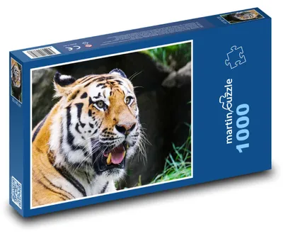Obrázek produktu pro Puzzle 1000 Tygr v divočině - martinpuzzle