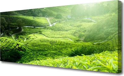 Produktbild von Tulup Leinwand-Bilder 125x50 Wandbild Canvas Kunstdruck Wiese Natur