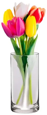 Produktbild von Alessandro Blumenvase klassisch - transparentes Glas - 10 x 20 cm - gerades Modell - Blumenstrausvas
