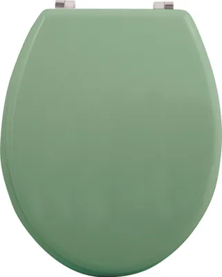 Image de Abattant Wc Mdf Vert Basil Charnières Inox Abattant Wc Mdf Vert Basil Charnières Inox - M S V