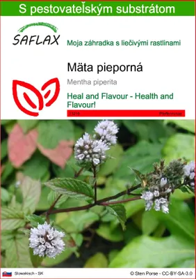 Obrázok produktu pre SAFLAX - mäta pieporná - Mentha piperita - 300 Semená - S pestovateľským substrátom bez klíčkov