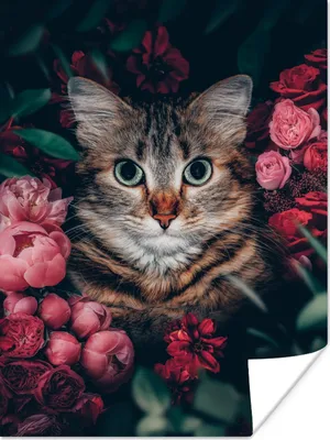 Produktbild von MuchoWow® Poster Katze - Blumen - Blätter - Botanisch 90x120 cm - Wohnzimmer