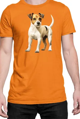Immagine prodotto di Maglietta da uomo Dogs Breeds Russell Terrier Dog Breed 006, Man 2XL , Orange